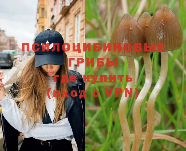 твердый Лагань