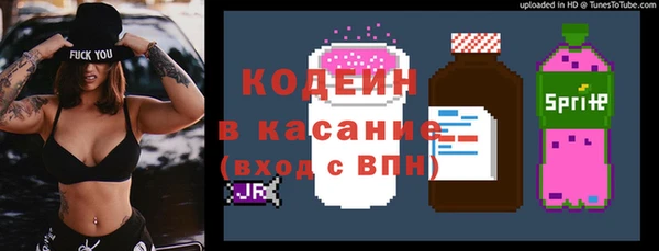 твердый Лагань
